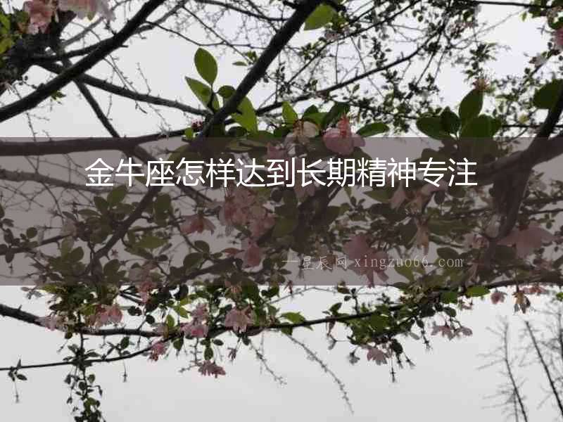 金牛座怎樣達到長期精神專注