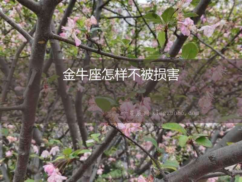 金牛座怎樣不被損害