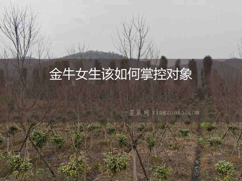 金牛女生該如何掌控對(duì)象