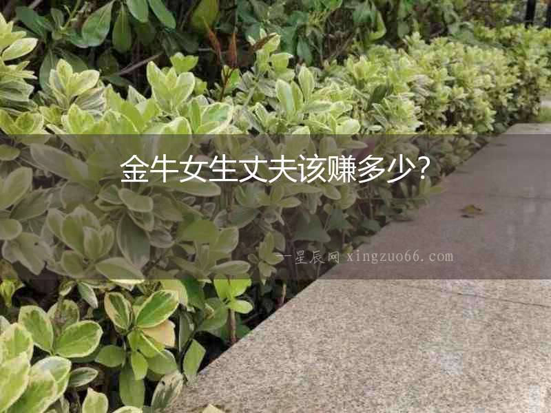 金牛女生丈夫該賺多少？