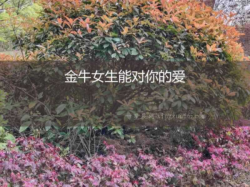 金牛女生能對(duì)你的愛(ài)