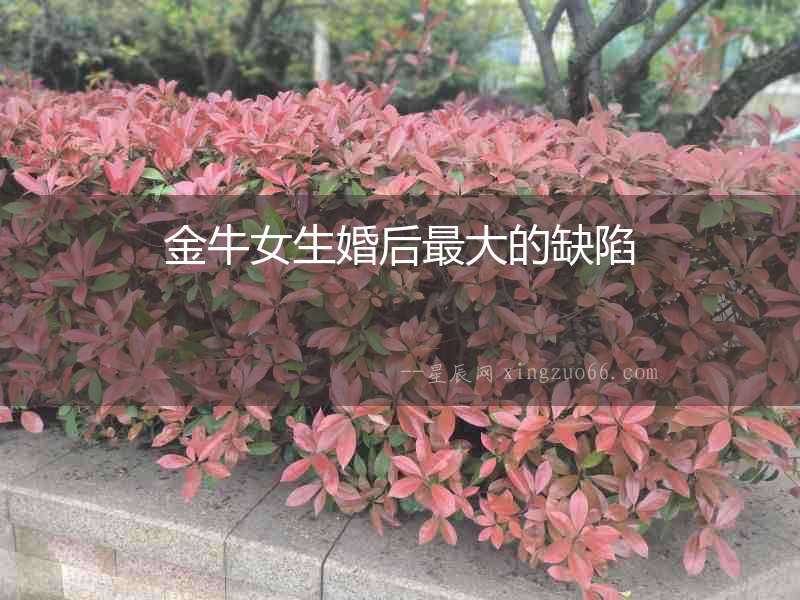金牛女生婚后最大的缺陷