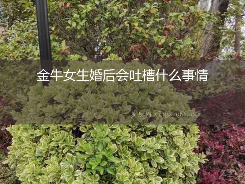 金牛女生婚后會吐槽什么事情