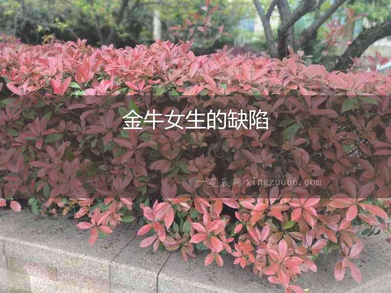 金牛女生的缺陷