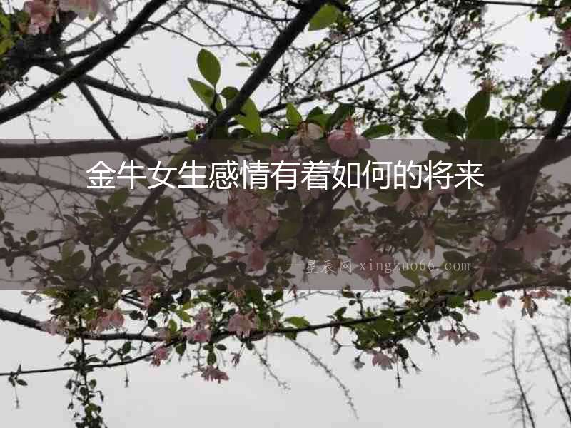 金牛女生感情有著如何的將來
