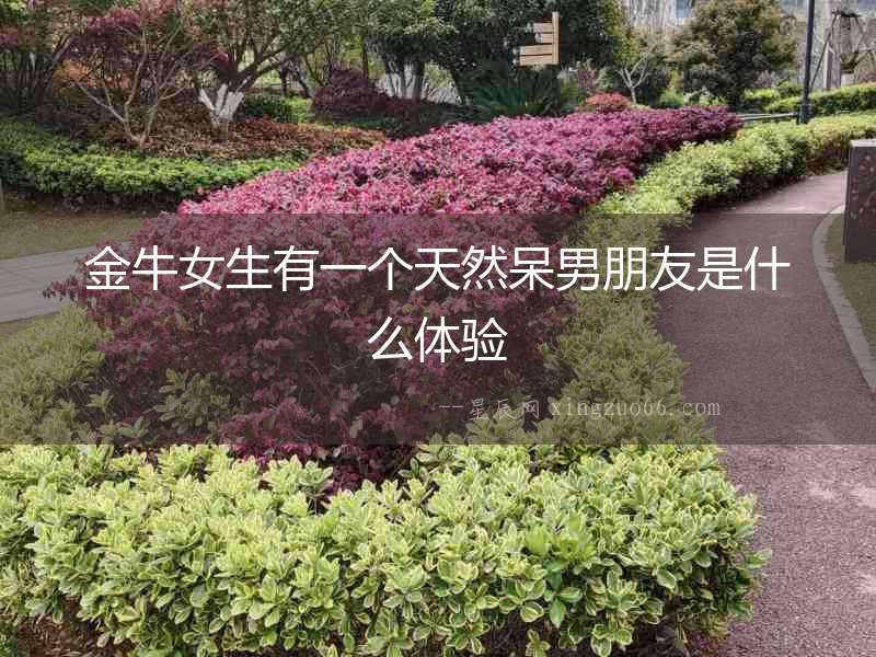 金牛女生有一個天然呆男朋友是什么體驗