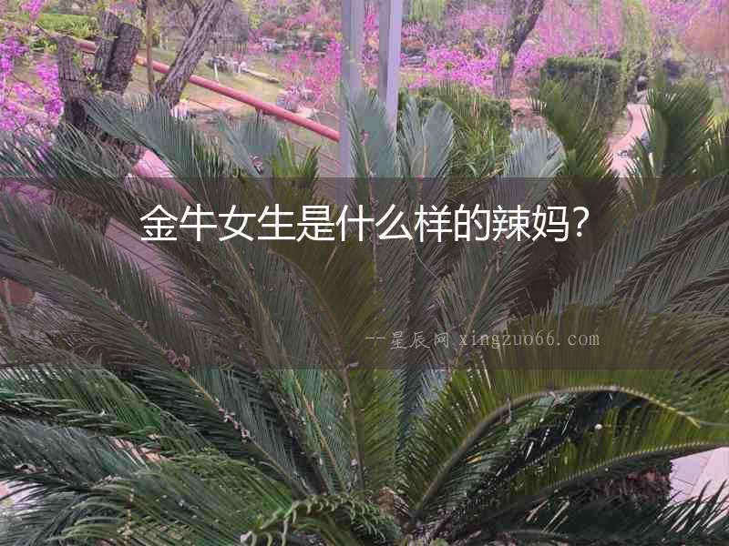 金牛女生是什么樣的辣媽？