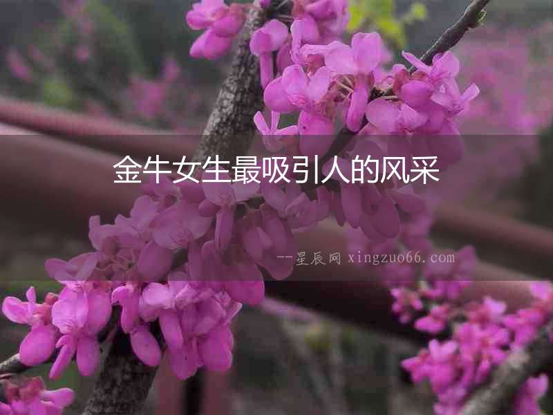 金牛女生最吸引人的風(fēng)采
