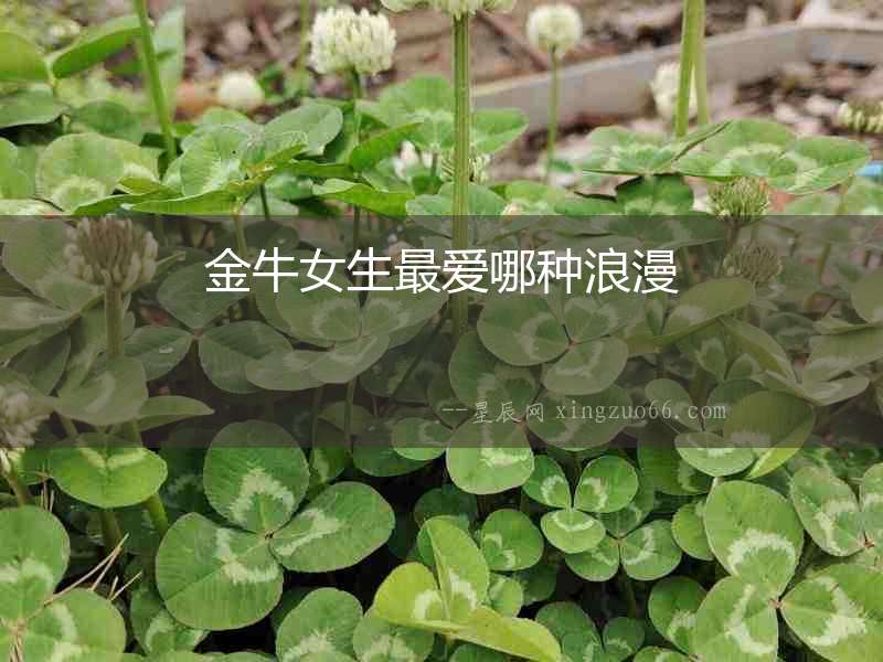 金牛女生最愛哪種浪漫