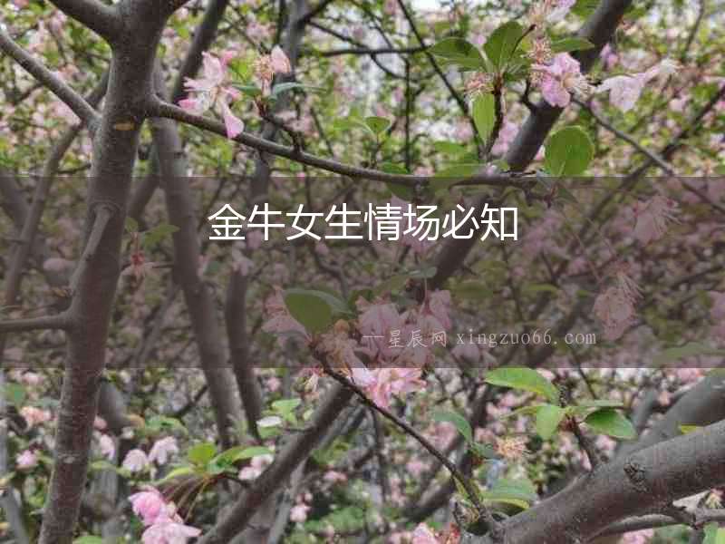 金牛女生情場必知