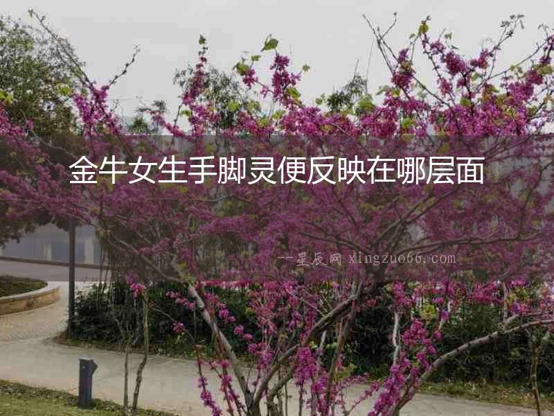 金牛女生手腳靈便反映在哪層面