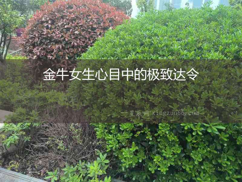 金牛女生心目中的極致達令