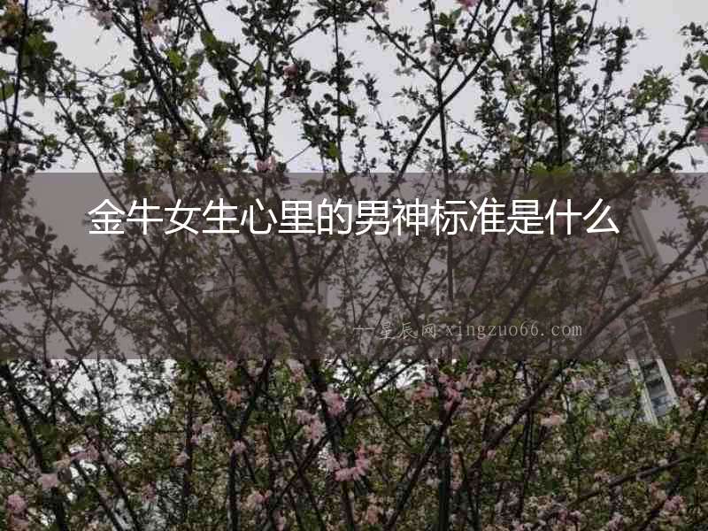 金牛女生心里的男神標準是什么
