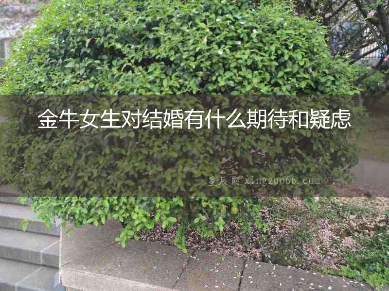 金牛女生對結婚有什么期待和疑慮