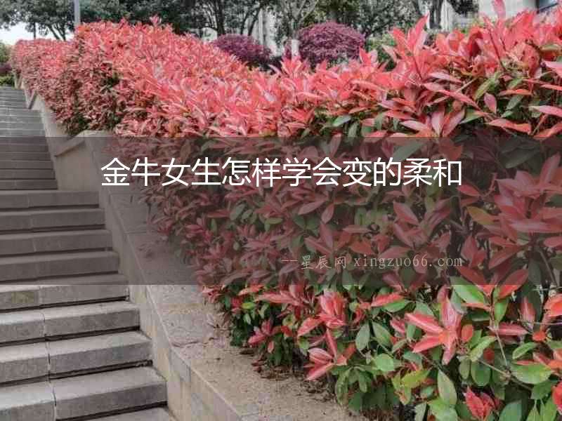 金牛女生怎樣學會變的柔和