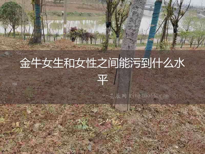 金牛女生和女性之間能污到什么水平