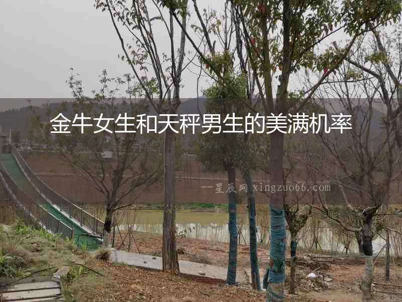 金牛女生和天秤男生的美滿機(jī)率