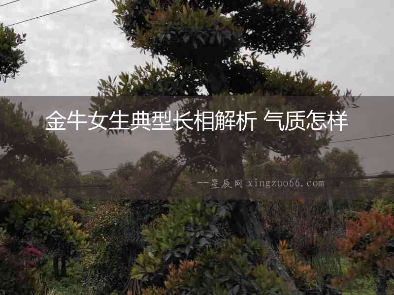 金牛女生典型長相解析 氣質怎樣