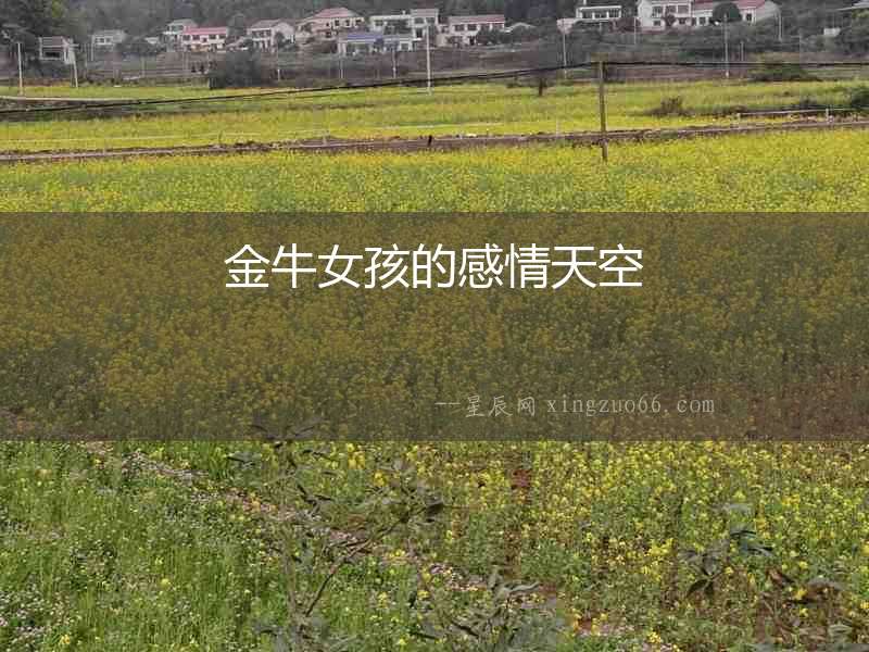 金牛女孩的感情天空