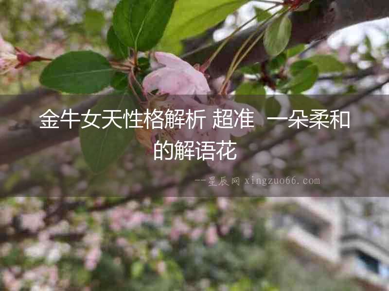 金牛女天性格解析 超準  一朵柔和的解語花