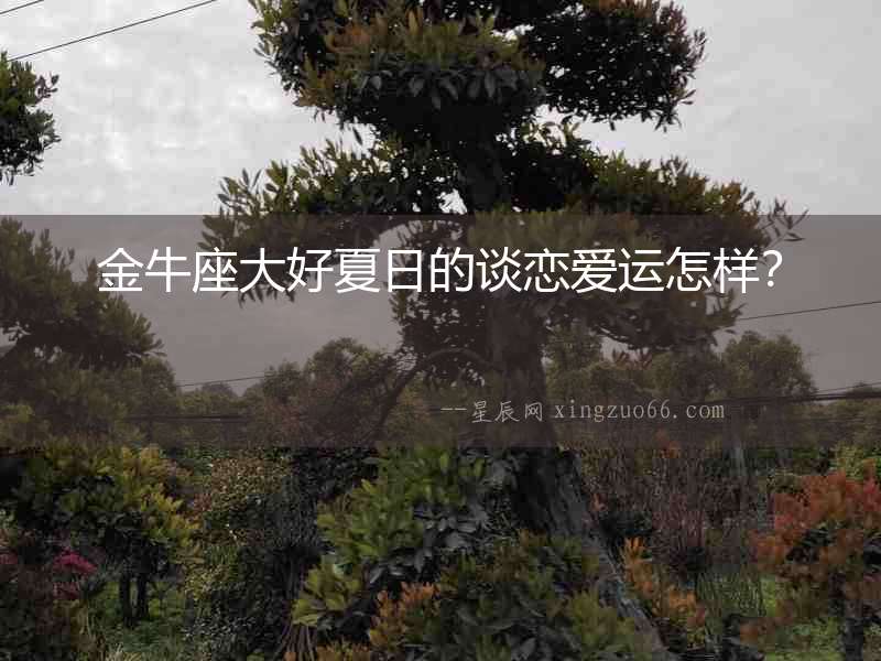 金牛座大好夏日的談戀愛運怎樣？