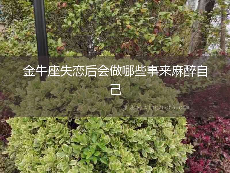 金牛座失戀后會做哪些事來麻醉自己
