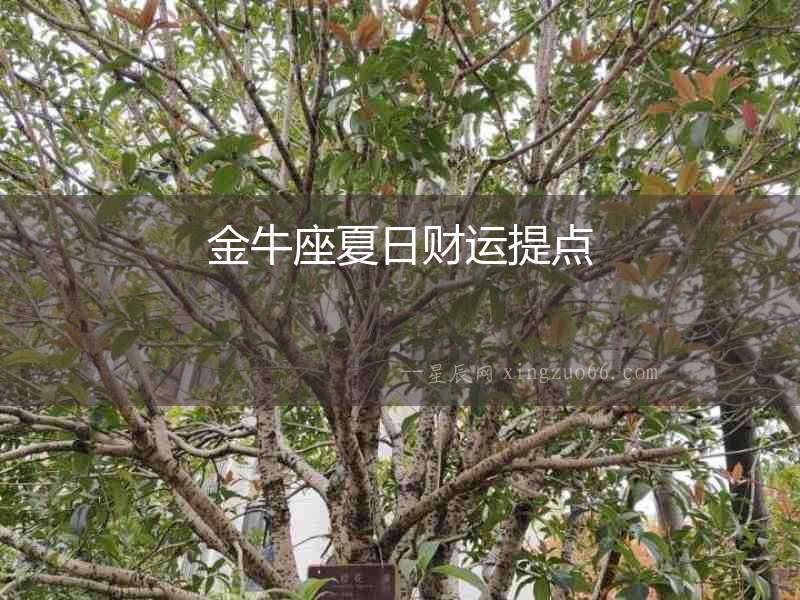金牛座夏日財運提點