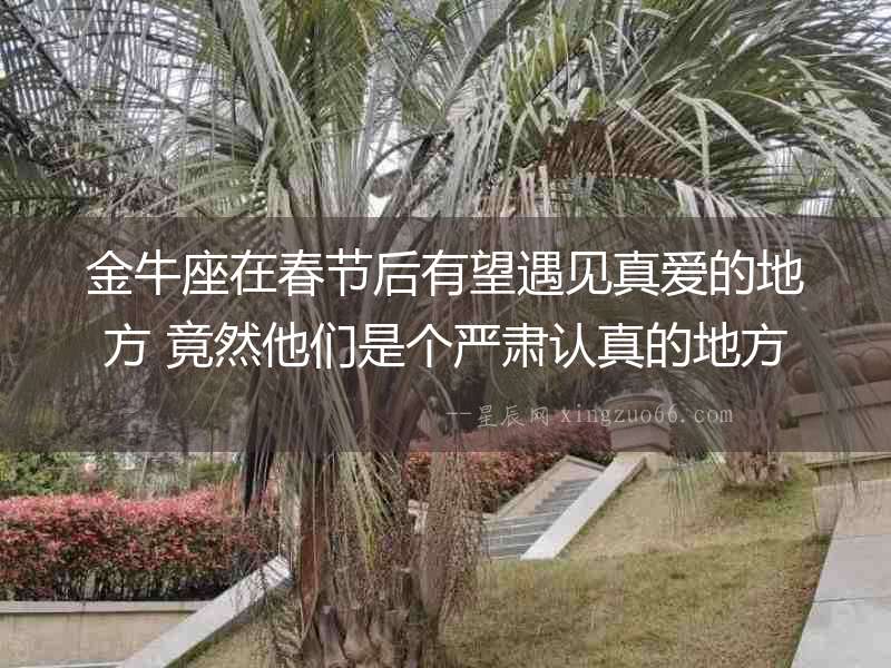 金牛座在春節后有望遇見真愛的地方 竟然他們是個嚴肅認真的地方
