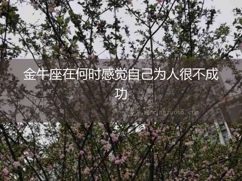金牛座在何時感覺自己為人很不成功