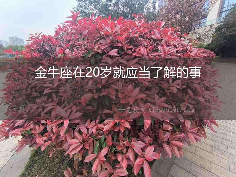 金牛座在20歲就應(yīng)當(dāng)了解的事