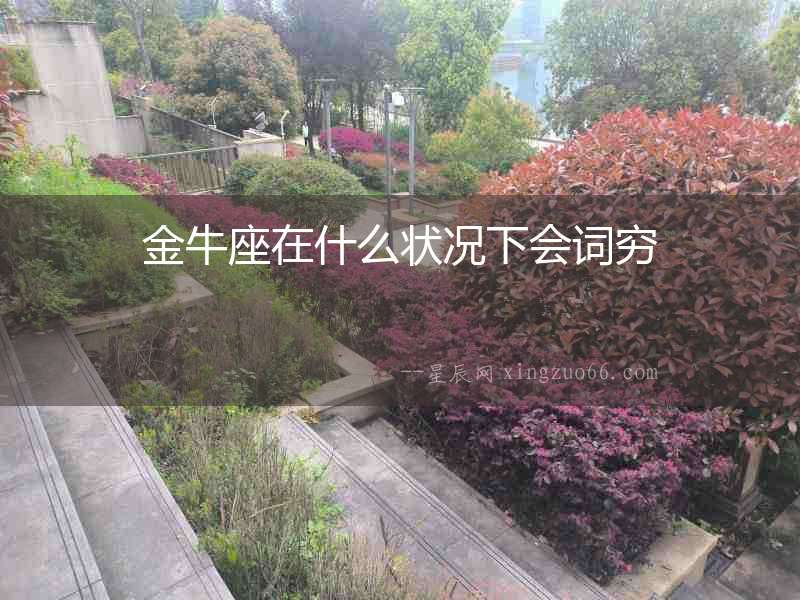 金牛座在什么狀況下會(huì)詞窮
