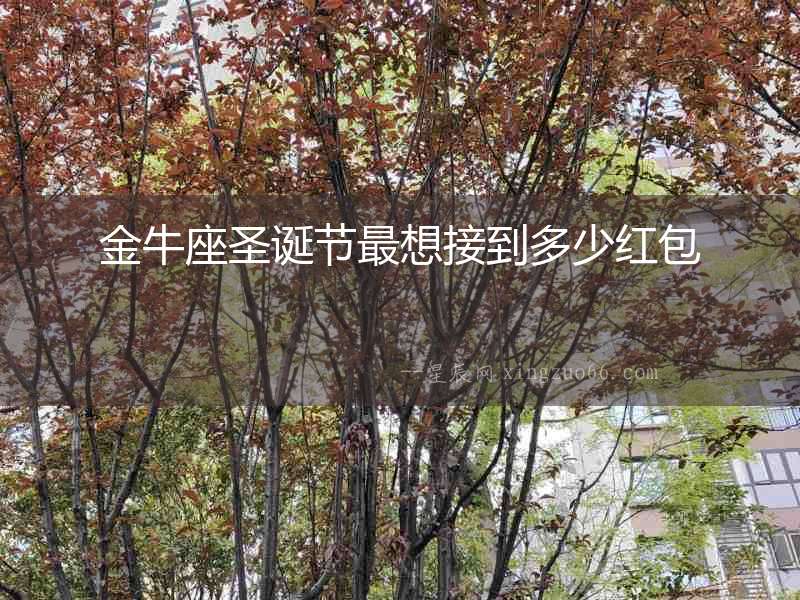 金牛座圣誕節最想接到多少紅包