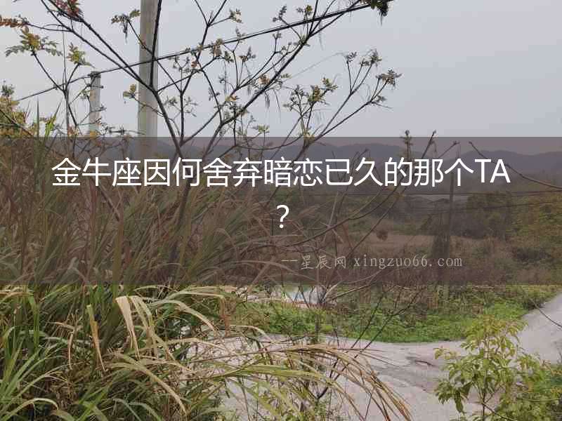 金牛座因何舍棄暗戀已久的那個TA？