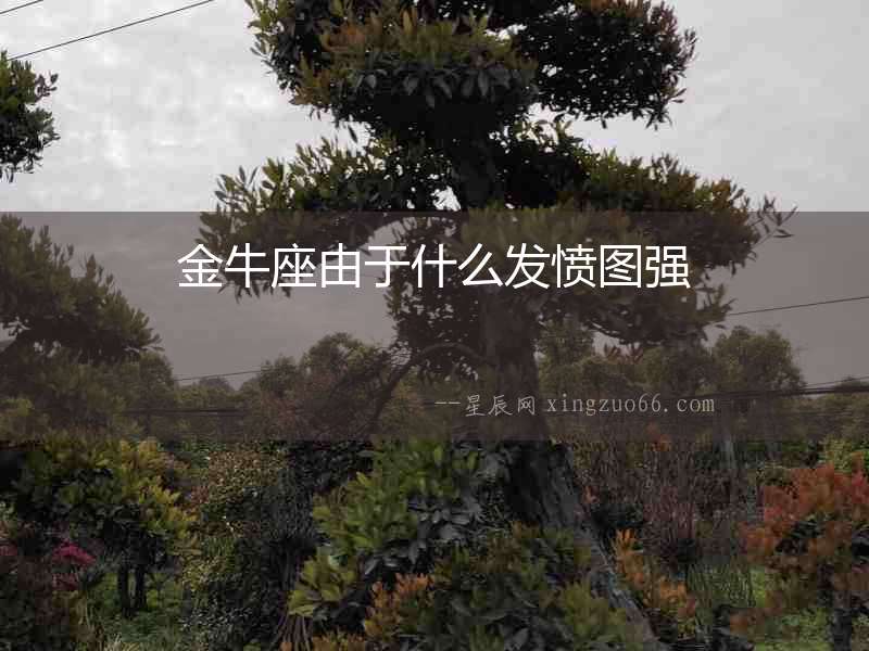 金牛座由于什么發(fā)憤圖強(qiáng)
