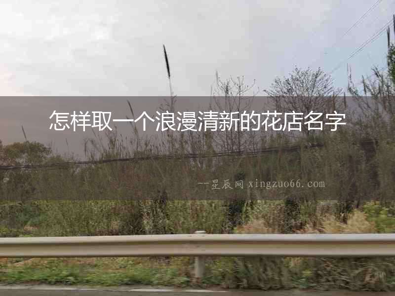 怎樣取一個(gè)浪漫清新的花店名字
