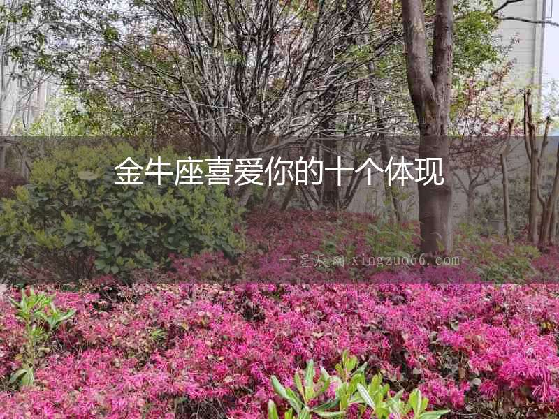 金牛座喜愛你的十個體現