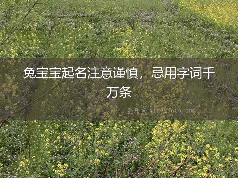 兔寶寶起名注意謹(jǐn)慎，忌用字詞千萬條