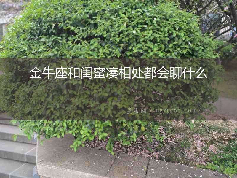 金牛座和閨蜜湊相處都會(huì)聊什么