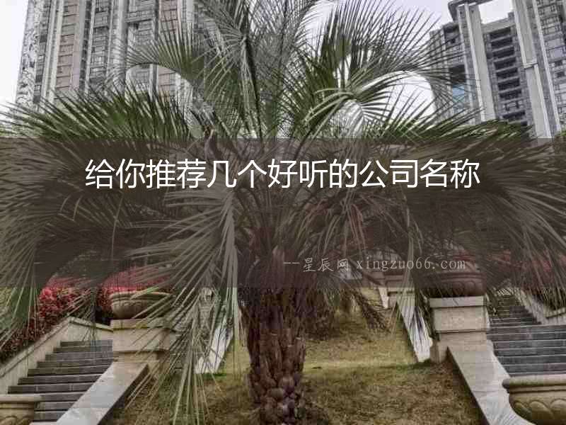 給你推薦幾個好聽的公司名稱