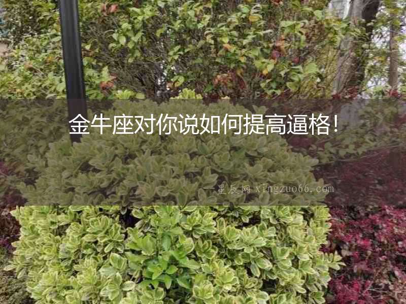 金牛座對(duì)你說(shuō)如何提高逼格！