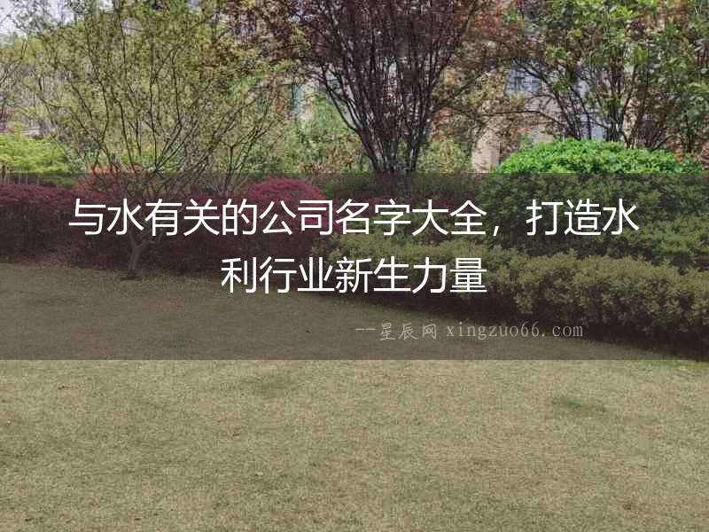 與水有關(guān)的公司名字大全，打造水利行業(yè)新生力量