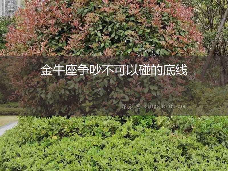 金牛座爭(zhēng)吵不可以碰的底線