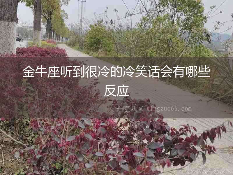 金牛座聽到很冷的冷笑話會有哪些反應