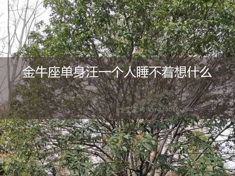 金牛座單身汪一個人睡不著想什么