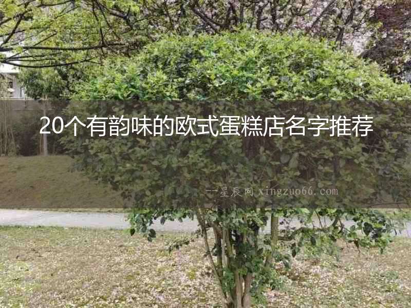 20個有韻味的歐式蛋糕店名字推薦