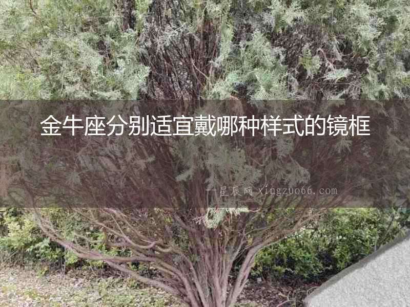 金牛座分別適宜戴哪種樣式的鏡框