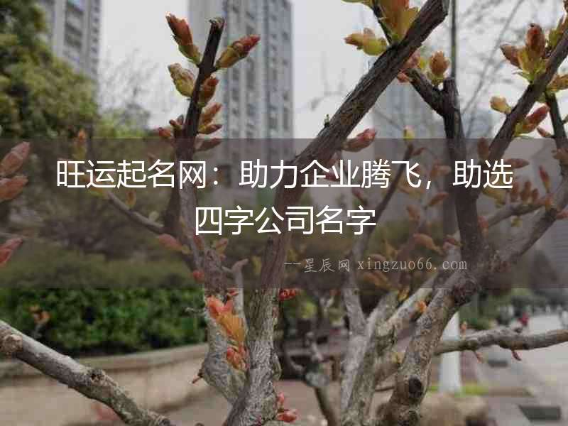 旺運起名網：助力企業(yè)騰飛，助選四字公司名字