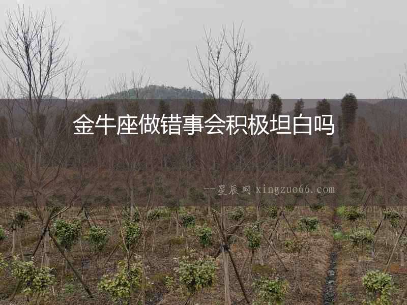金牛座做錯事會積極坦白嗎