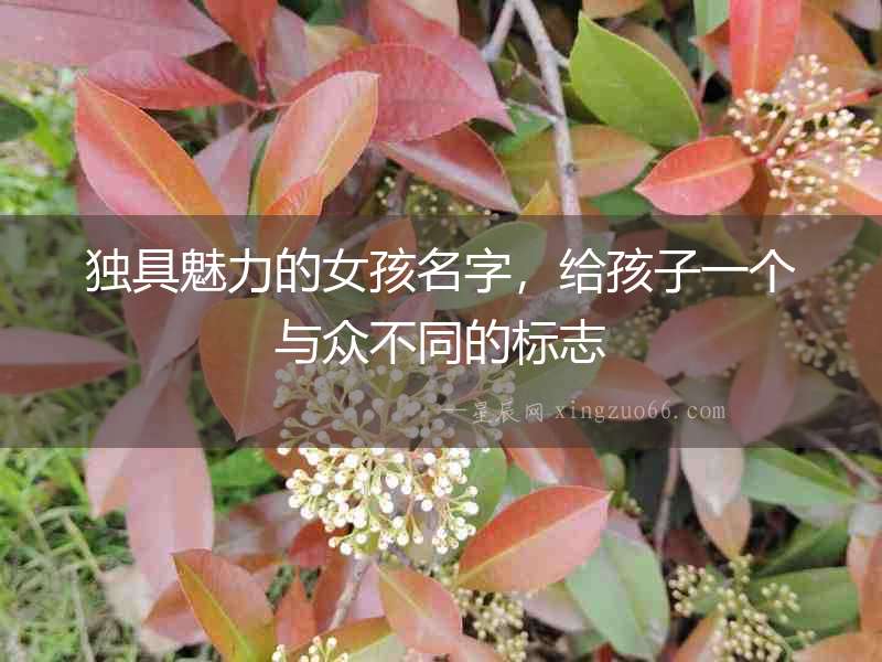 獨具魅力的女孩名字，給孩子一個與眾不同的標志