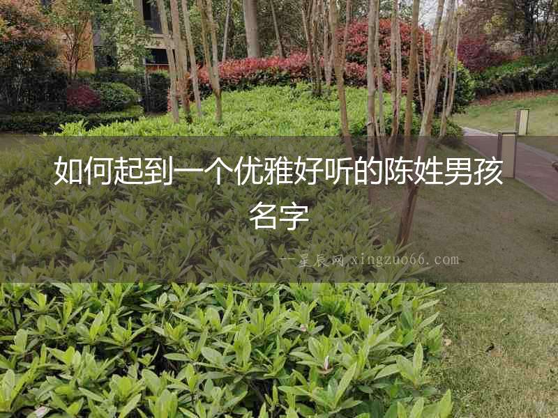 如何起到一個優雅好聽的陳姓男孩名字